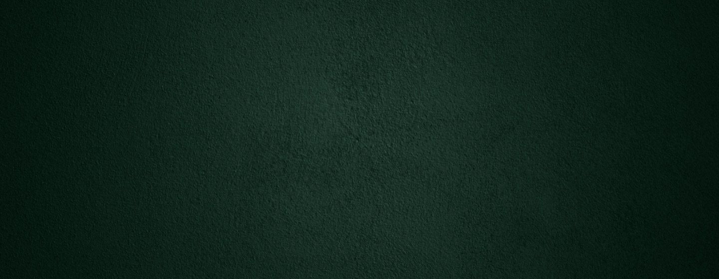 Decorative image for page header