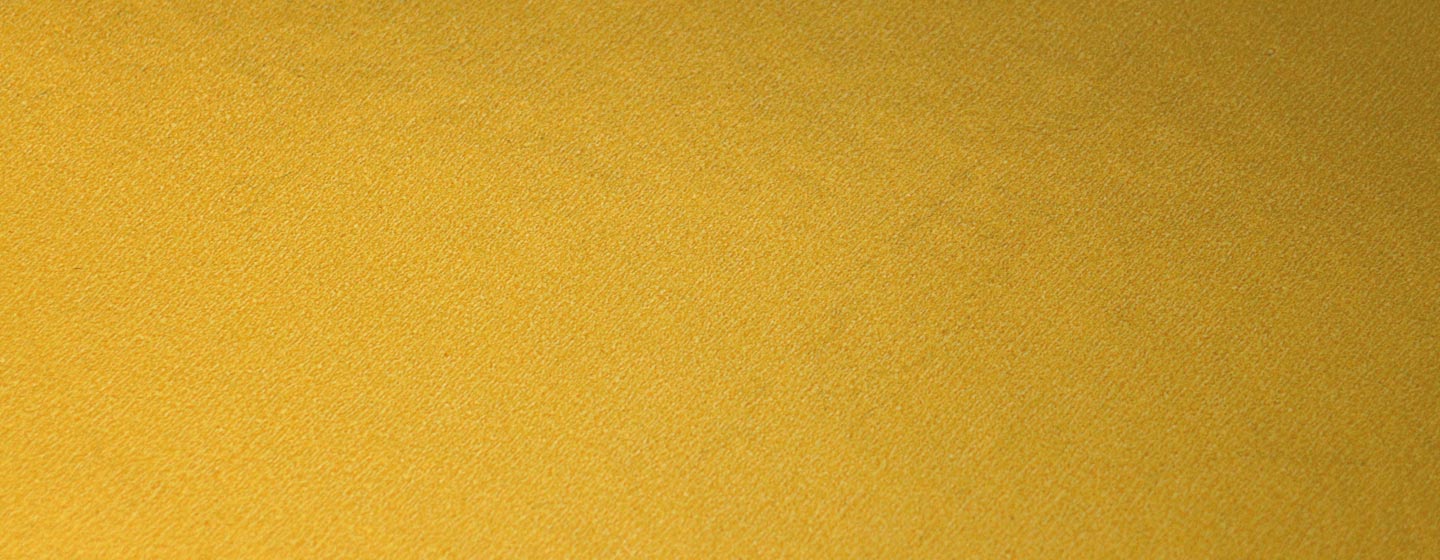 Decorative image for page header