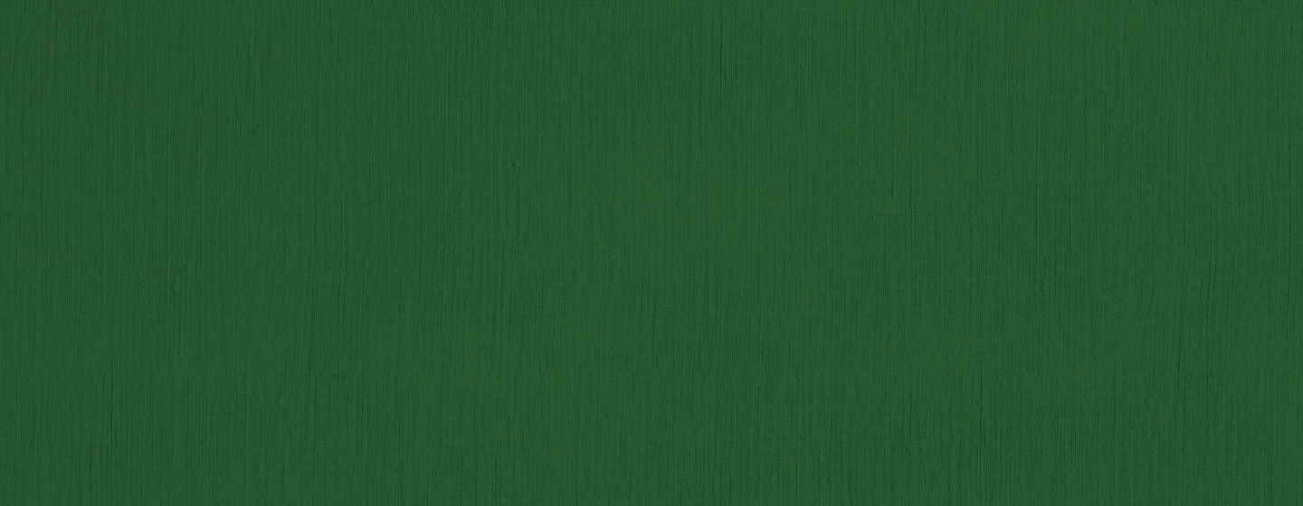 Decorative image for page header